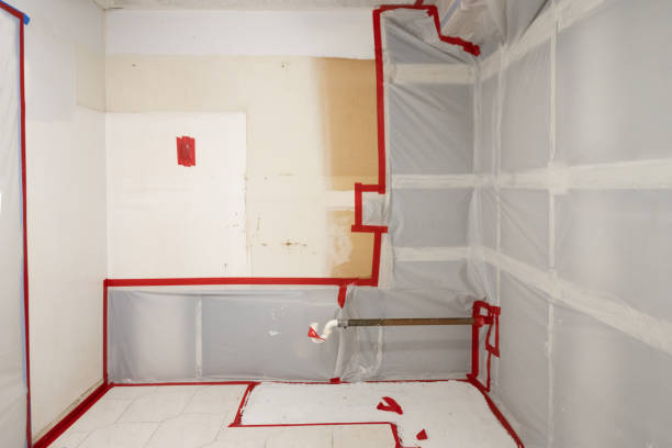 Monmouth Junction, NJ Mold Inspection, Removal & Remediation Company