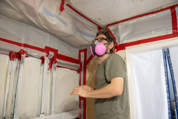 Best Comprehensive Air Testing for Mold Contaminants  in Monmouth Junction, NJ