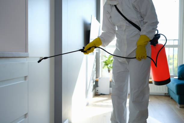 Best Mold Remediation for Healthcare Facilities  in Monmouth Junction, NJ