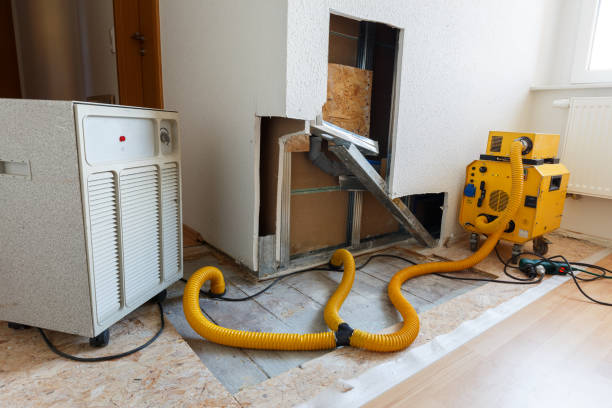 Best Basement Mold Removal  in Monmouth Junction, NJ